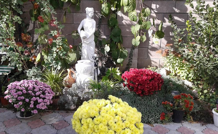 Территория