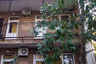 Рыжий кот, гостевой дом