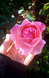 Туры на майские праздники