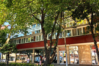 Лиана Лазаревское, гостиница