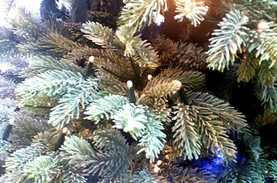 Старт продаж новогодних туров 2025-2026