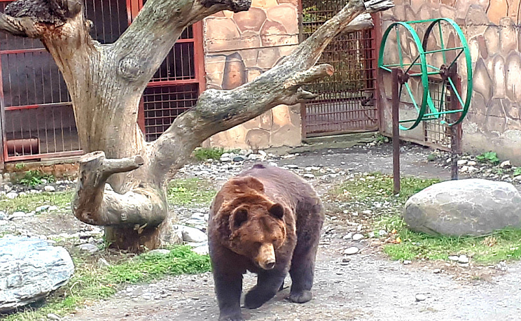 Тебердинский заповедник