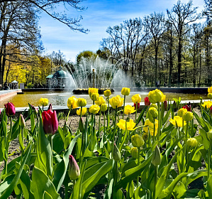 Майские праздники в Петербурге
