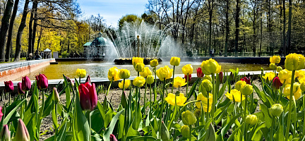 Майские праздники в Петербурге