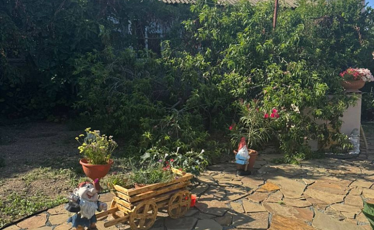 Территория